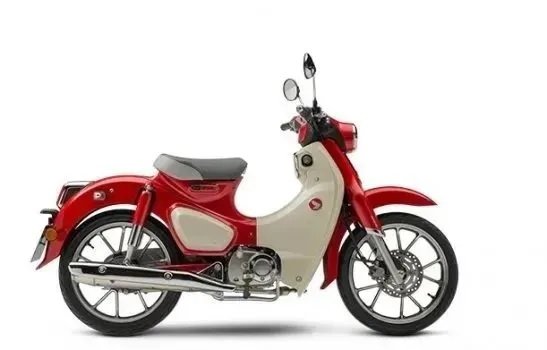 สีรถ Honda Super Cub 2024 ยอดนิยม 2